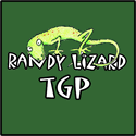 randylizard.com