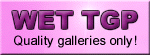 wettgp.com